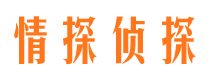 花山市侦探公司